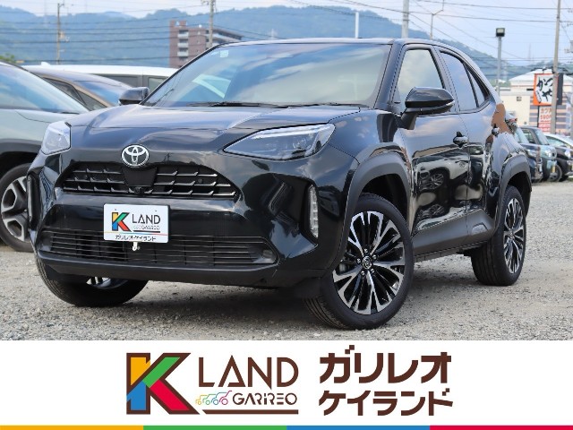 イメージ：車種名
